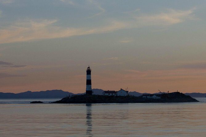 Winter Victoria Whale and Wildlife Zodiac Tour - The Marine Naturalist on Board: What You Learn While You Watch