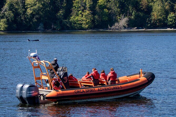 Winter Victoria Whale and Wildlife Zodiac Tour - Weather Reality Check: Rain or Shine on Open Water