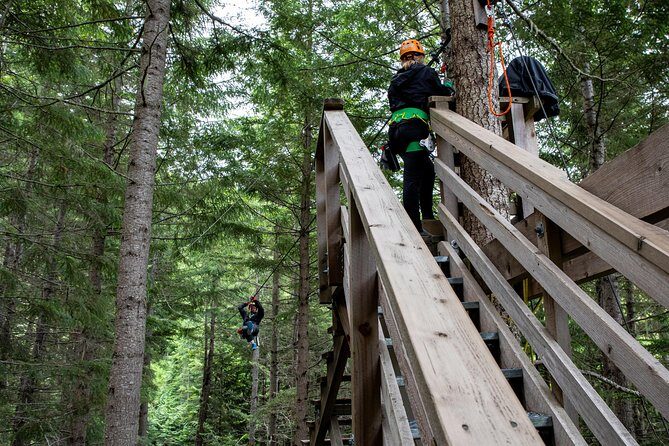 Zipline Adventure in Whistler - Safety and Gear Done Right: Why You Don’t Need to Be a Daredevil