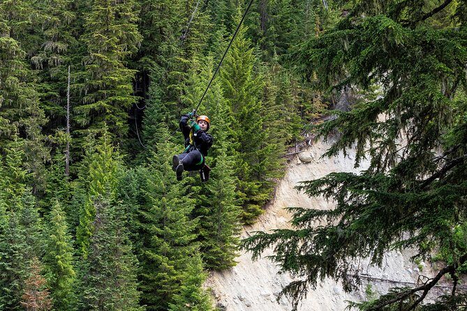 Zipline Adventure in Whistler - Old-Growth Forest Highlights You Can Actually Notice