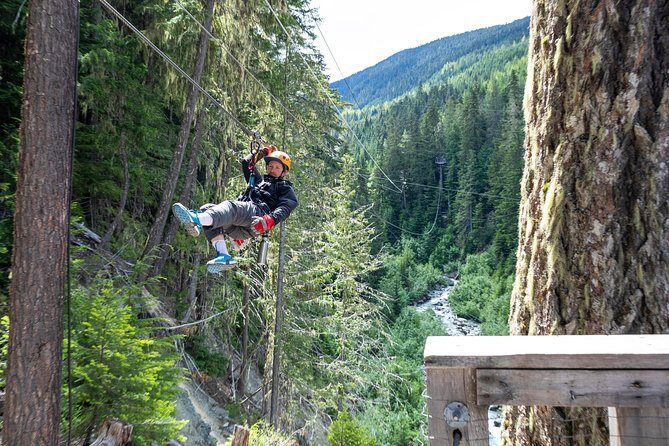 Zipline Adventure in Whistler - The One Trade-Off: Stairs and Uphill Walking Between Lines