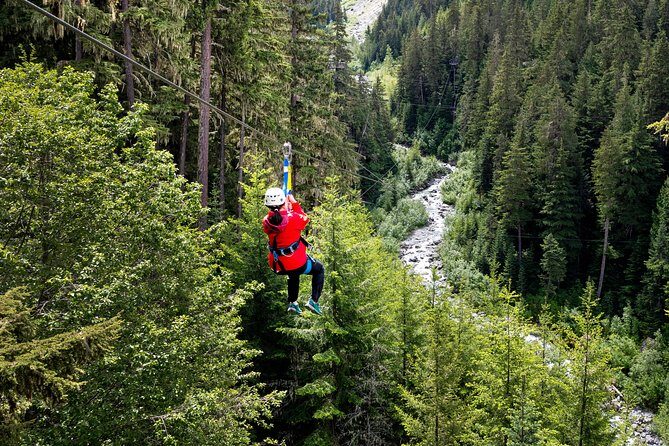 Zipline Adventure in Whistler - From Carleton Lodge to the First Zip: How the Tour Actually Feels